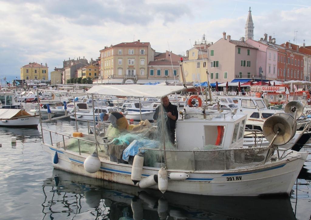 Apartments Villa Rosa Rovinj Rom bilde