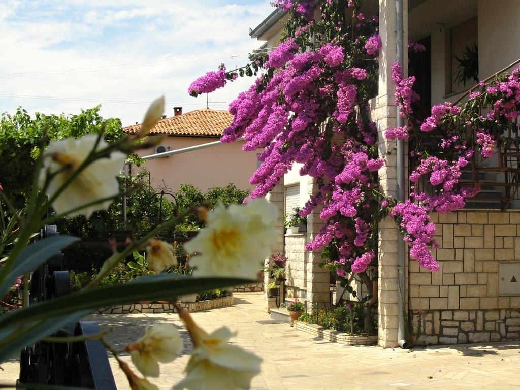 Apartments Villa Rosa Rovinj Eksteriør bilde
