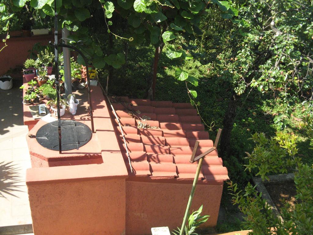 Apartments Villa Rosa Rovinj Rom bilde