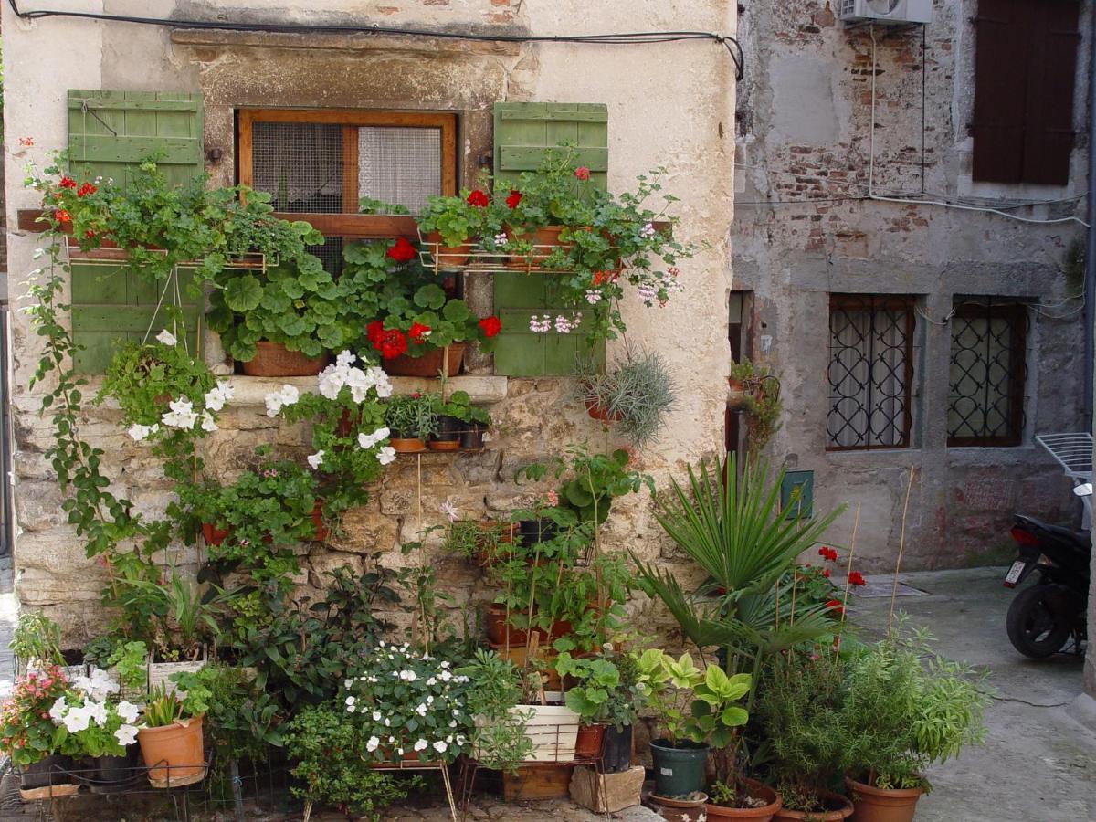 Apartments Villa Rosa Rovinj Rom bilde